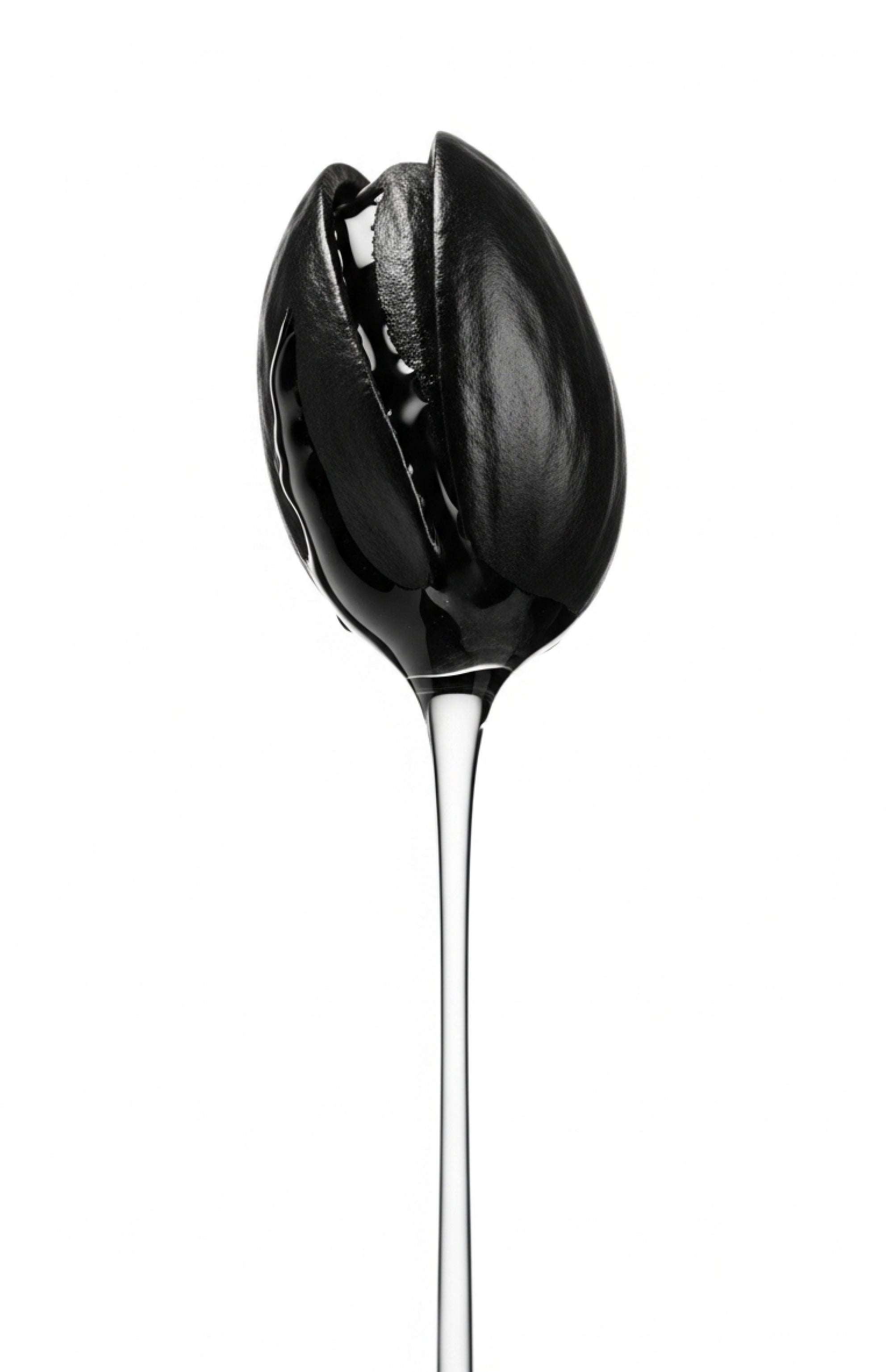 BLACK OUD-SAFFRON